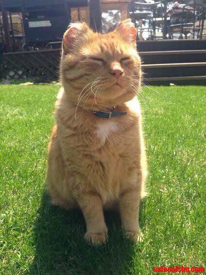 Soaking Up That Springtime Sun