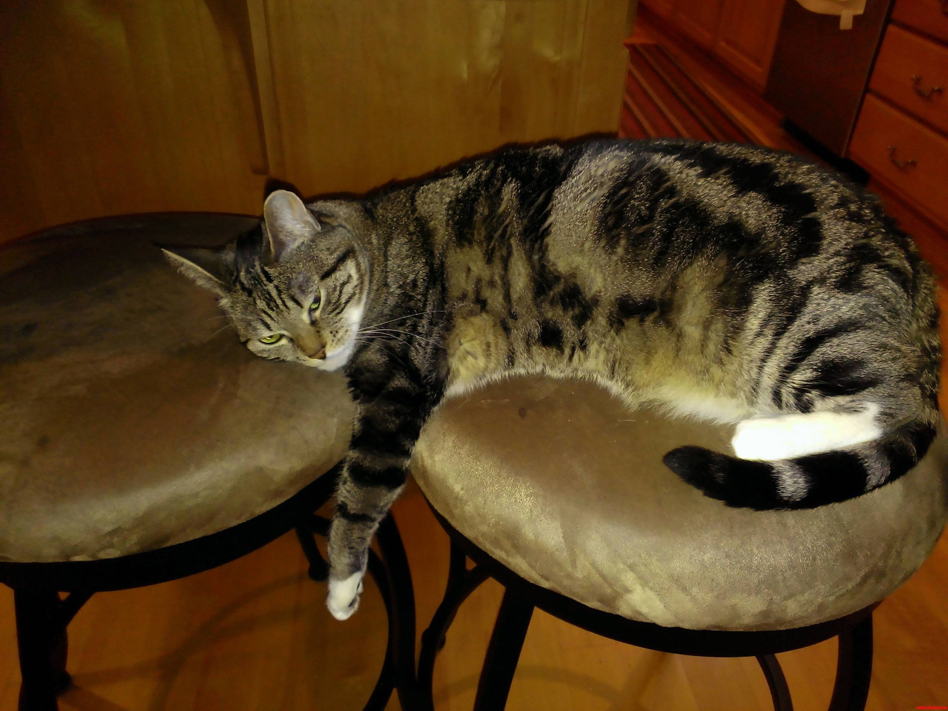 Sometimes One Chair Just Isnt Enough...