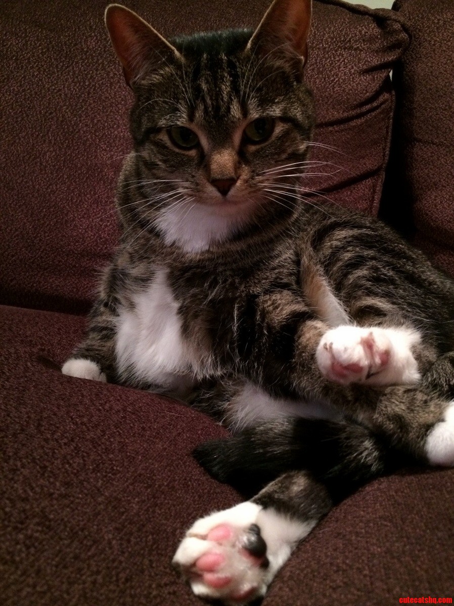 Sup