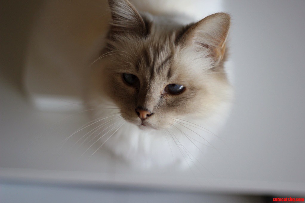 Testing My New Camera