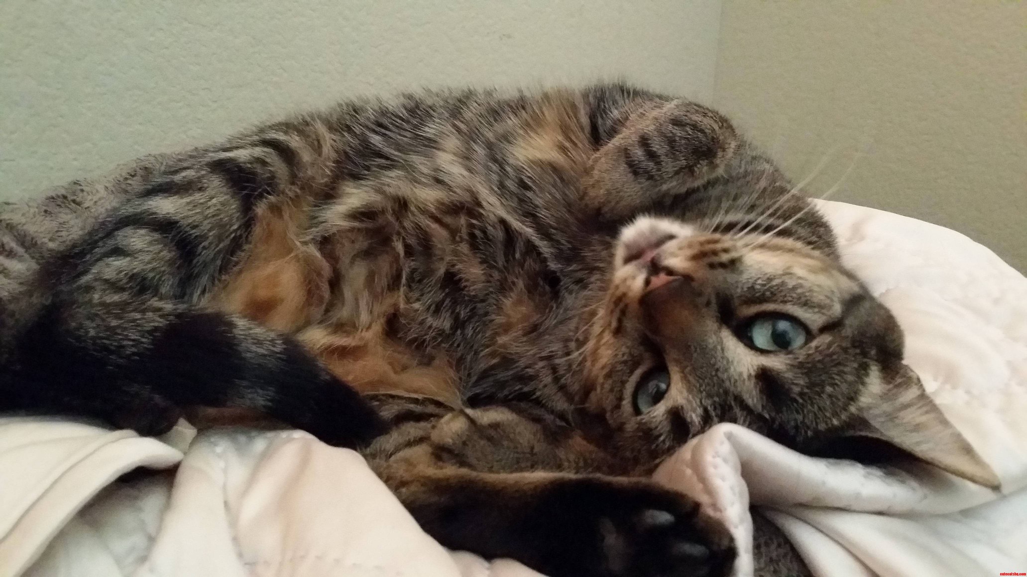 That Face
