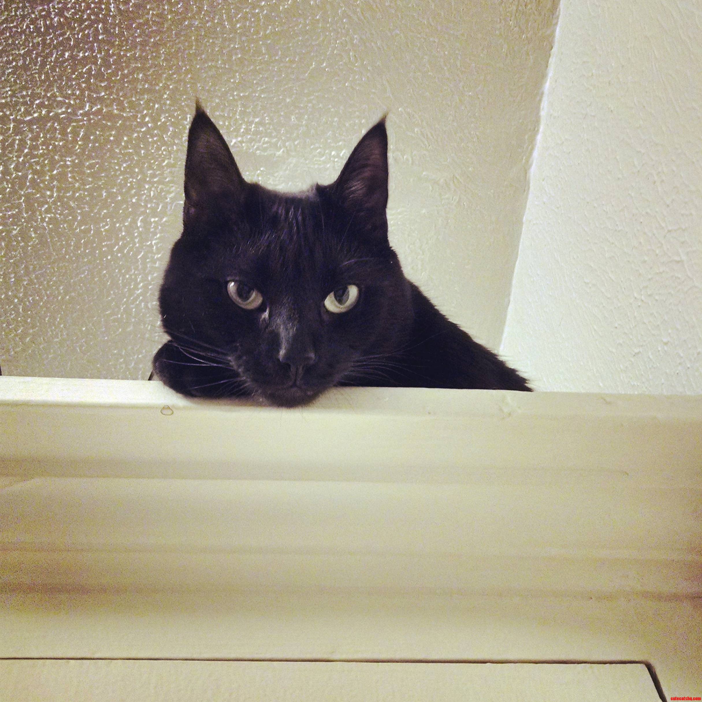 The Beat Creeper Alive.