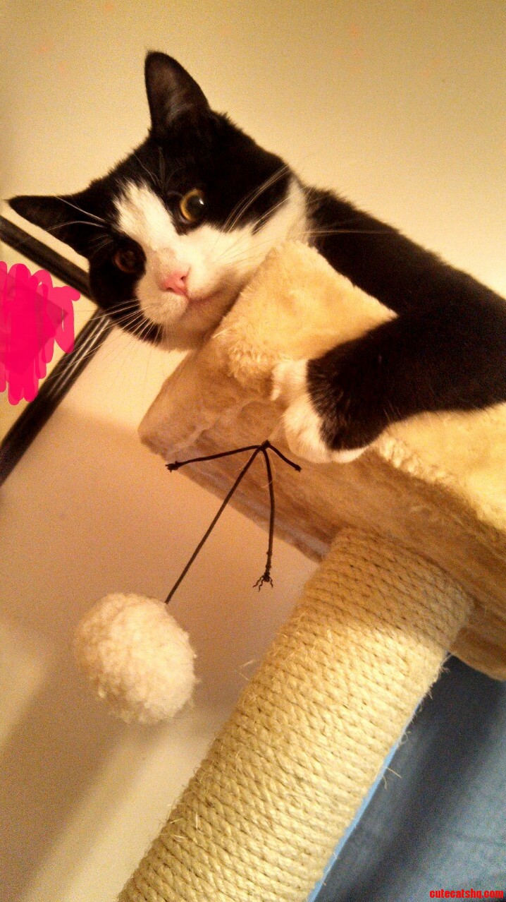 The Mischievous Charlie