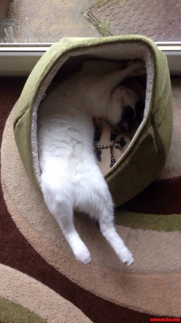 The Positions He Gets Himself In...