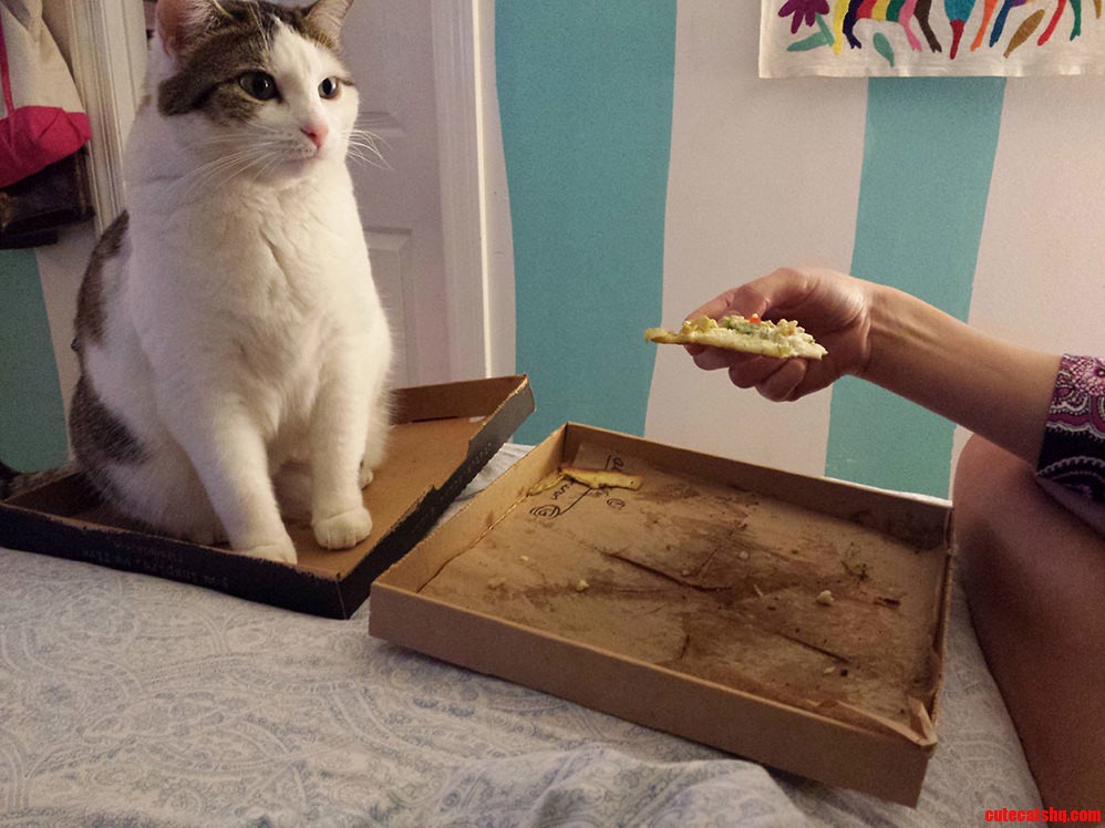 This Box Is Not for You.