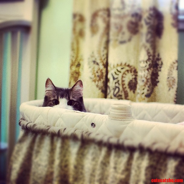 This Crib Is Occupied Move Along.