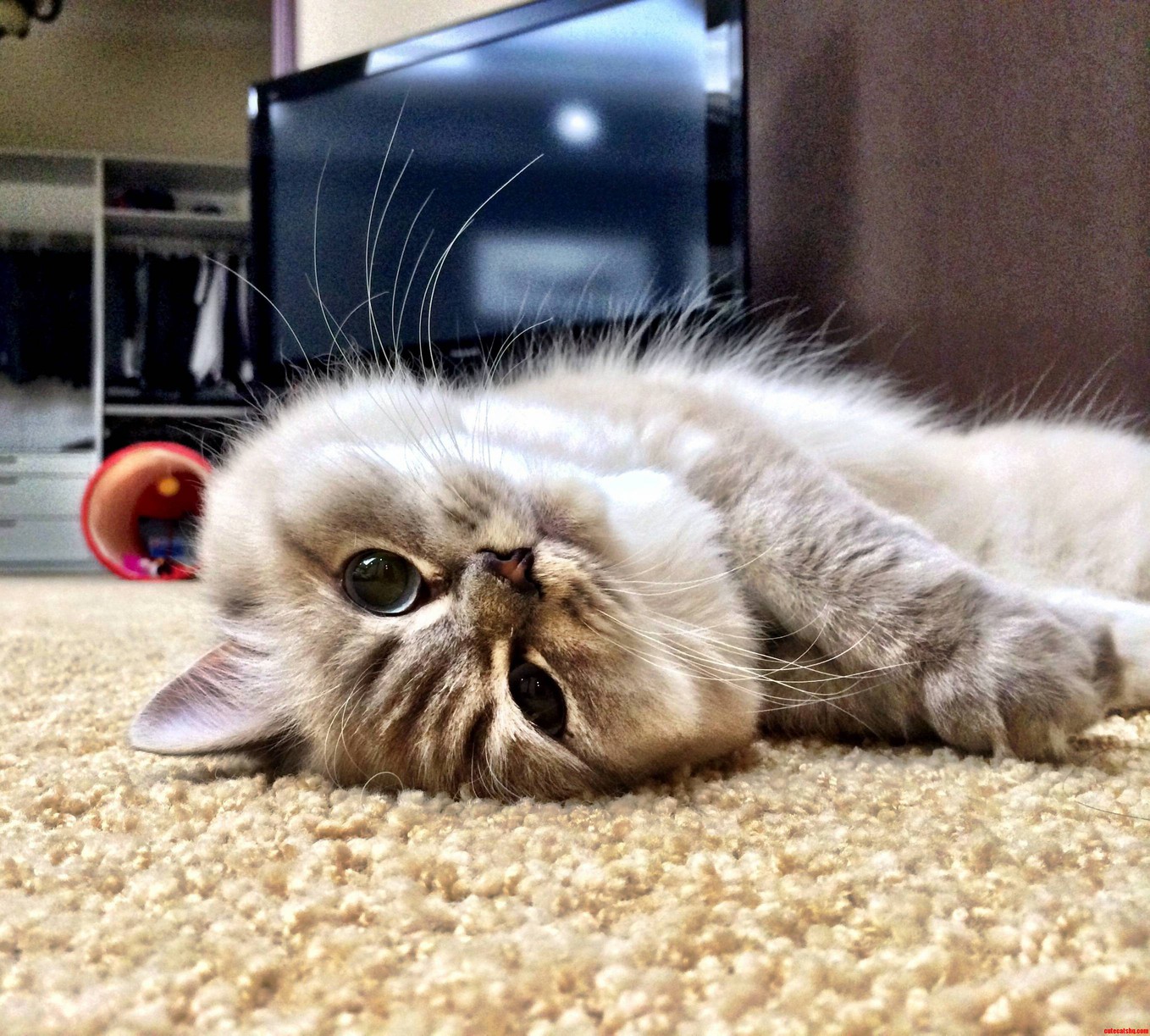 This Face Gets Me Everytime