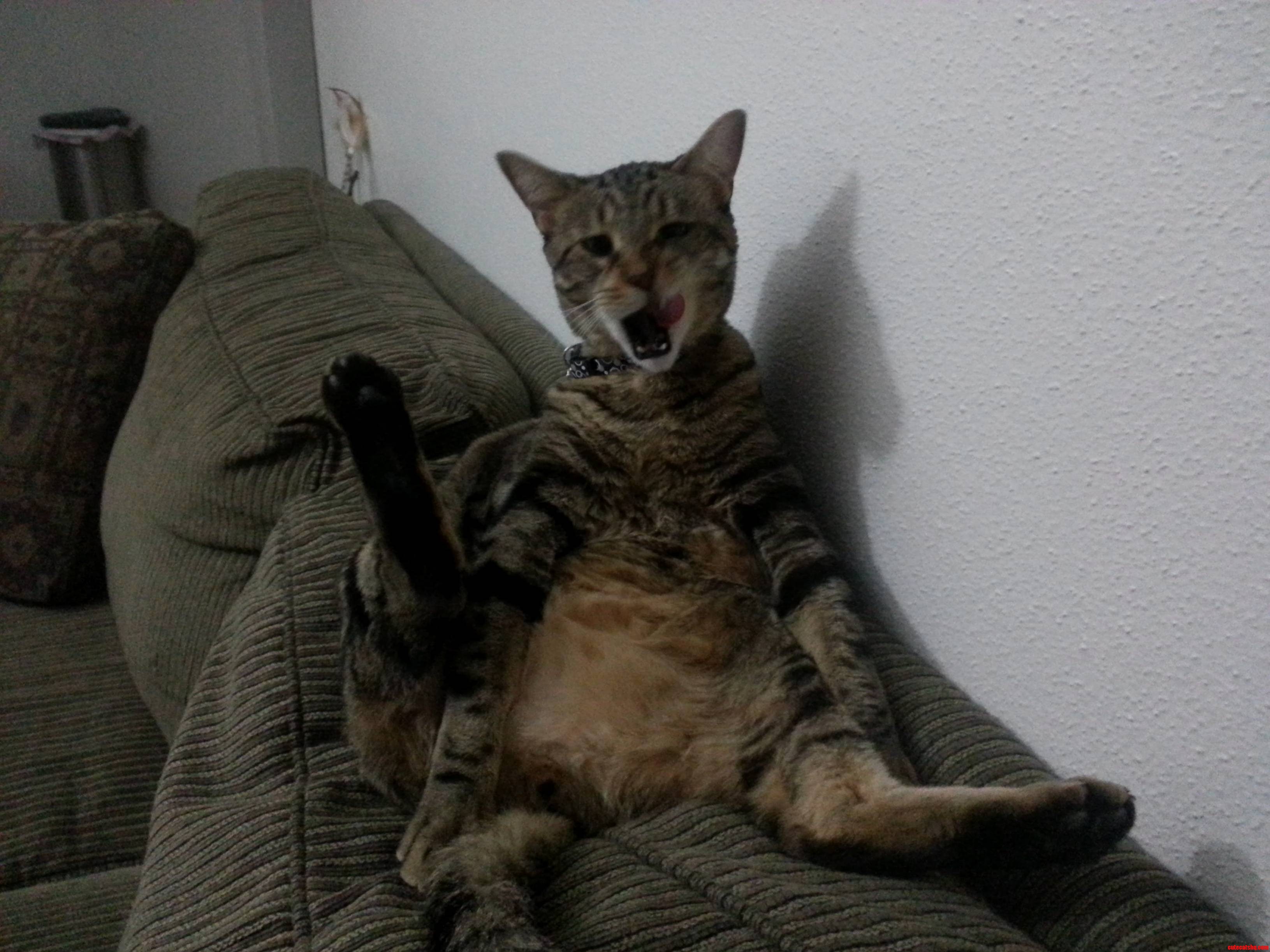 This Is Hercules. He Does As He Pleases