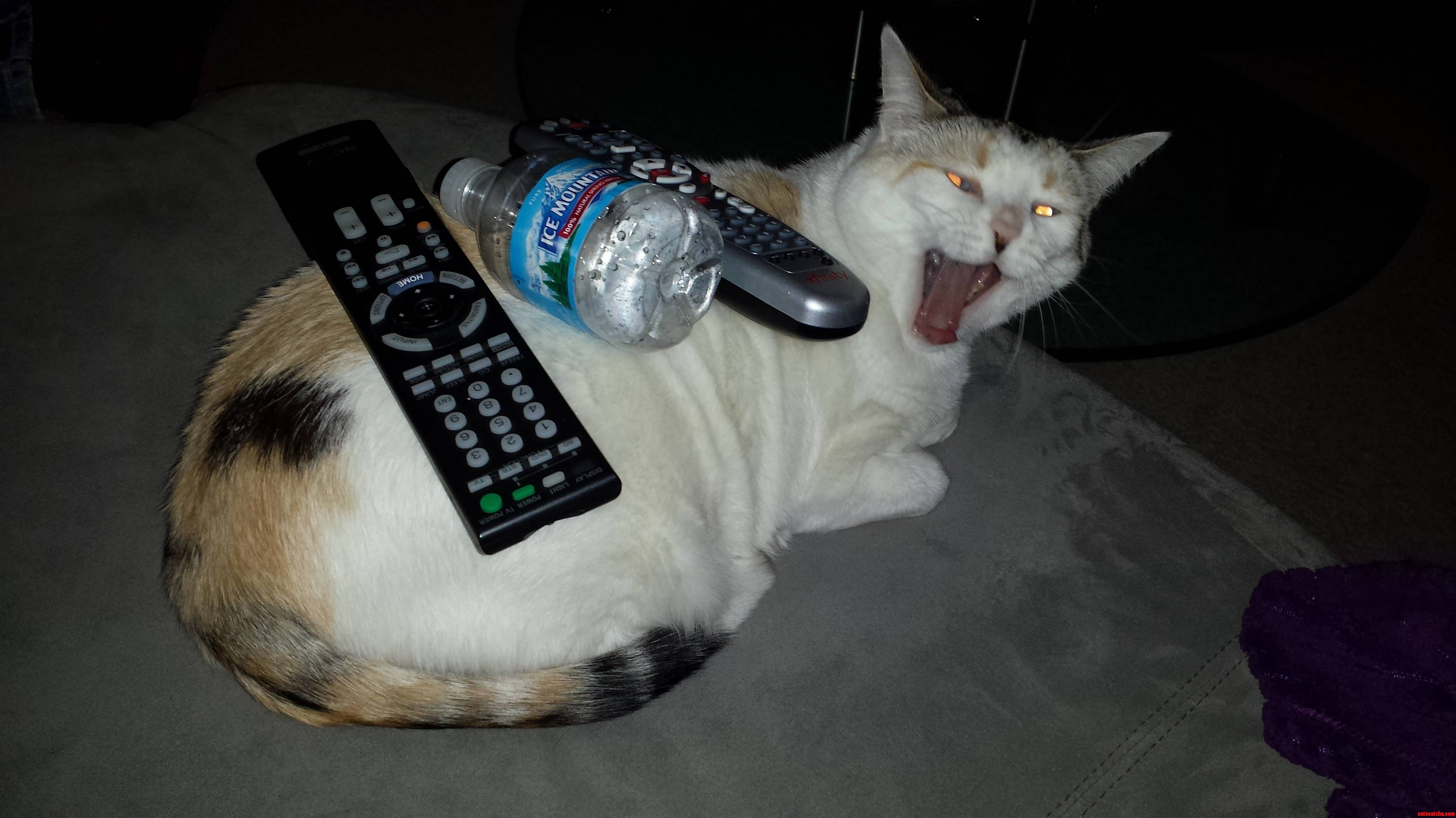 This Isnt Even Remotely Funny.