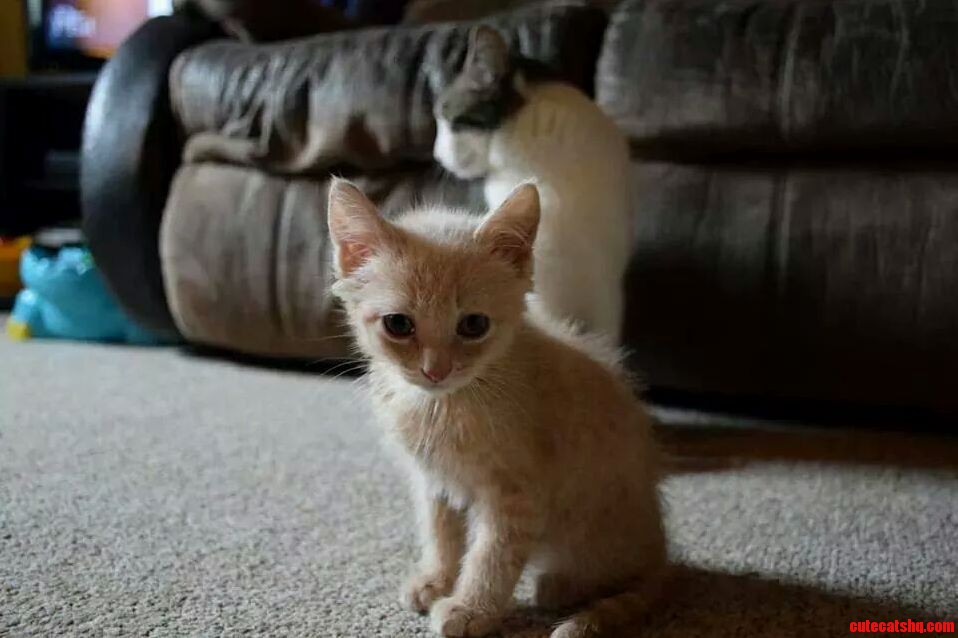 This Little Guy Needs a Name. Help