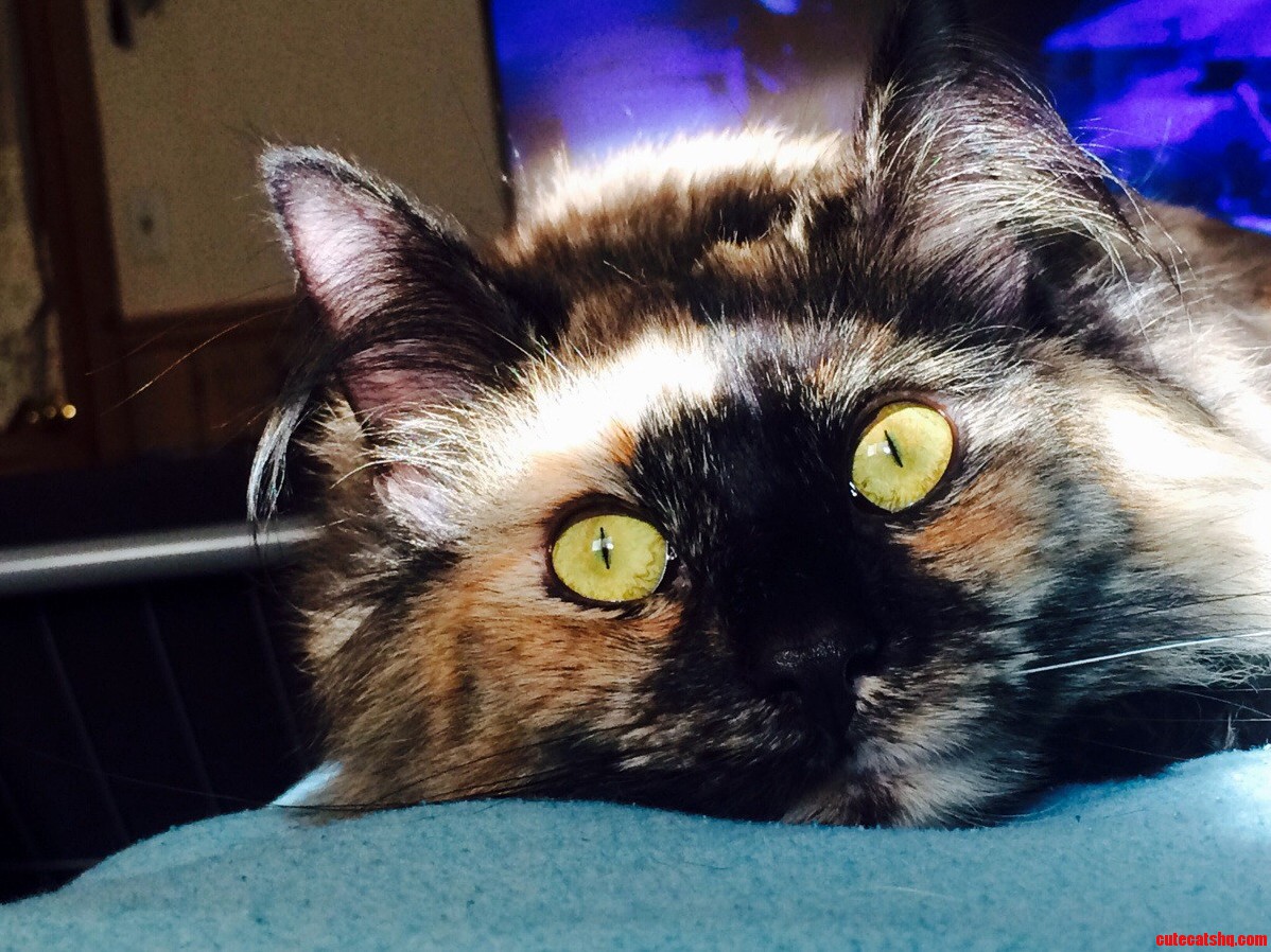 Those Eyes...