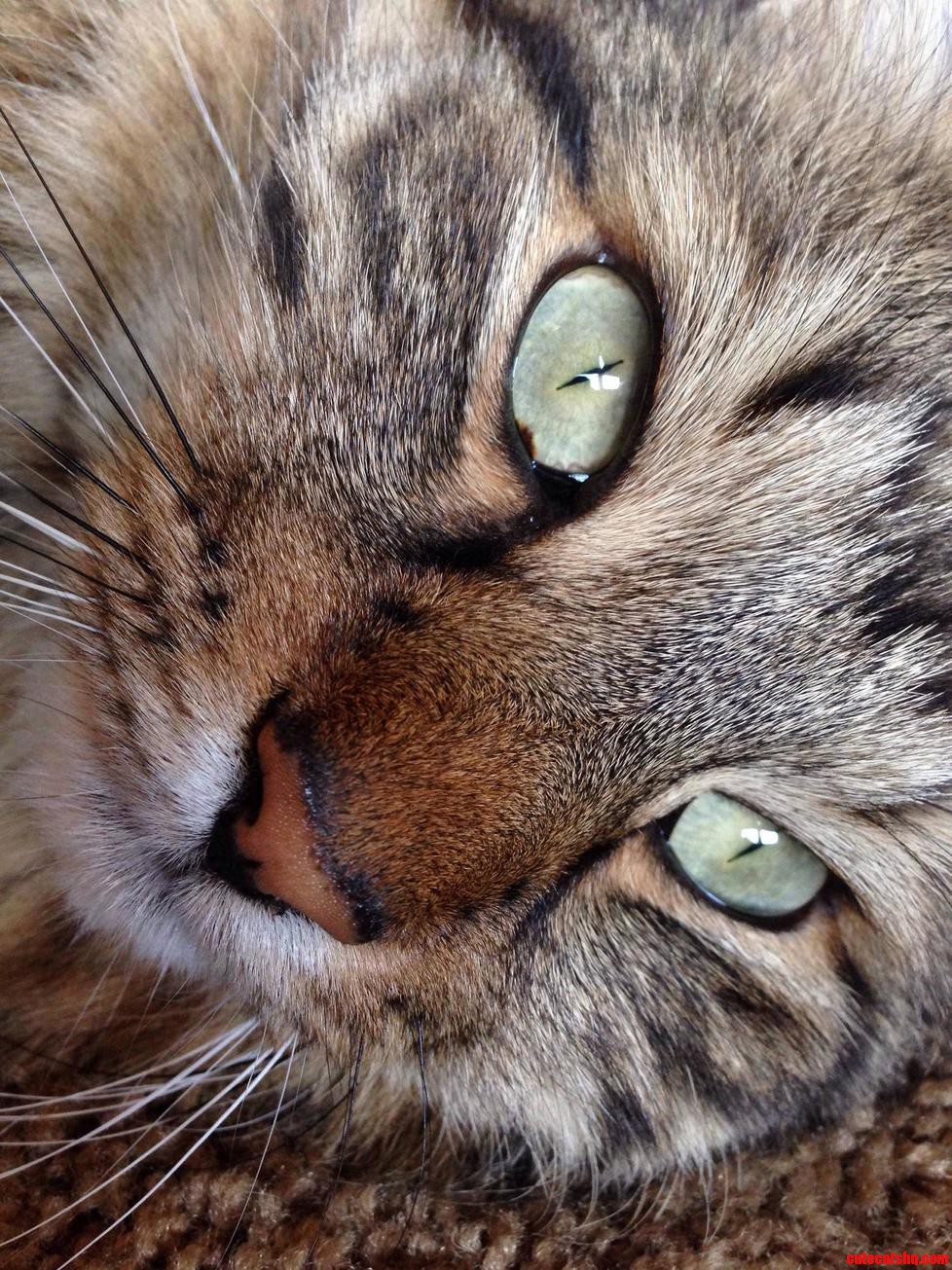 Those Eyes
