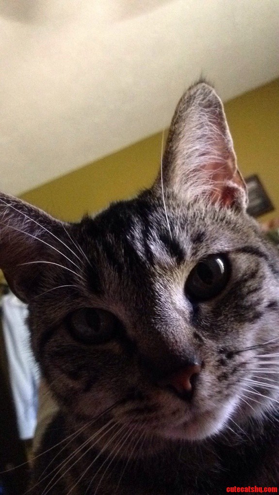 What I Wake Up to Almost Every Day