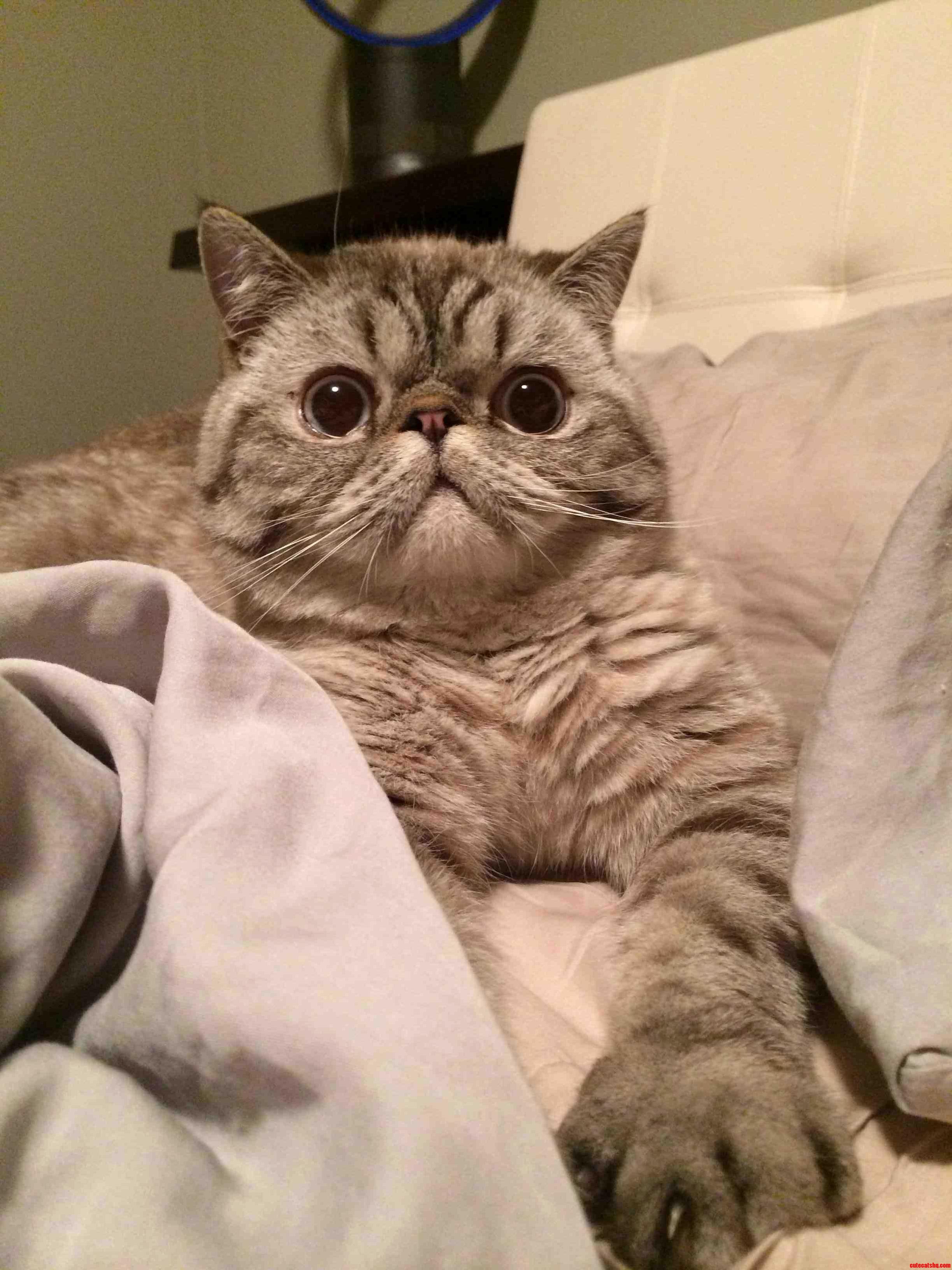 When He Knows Its Bath Time...