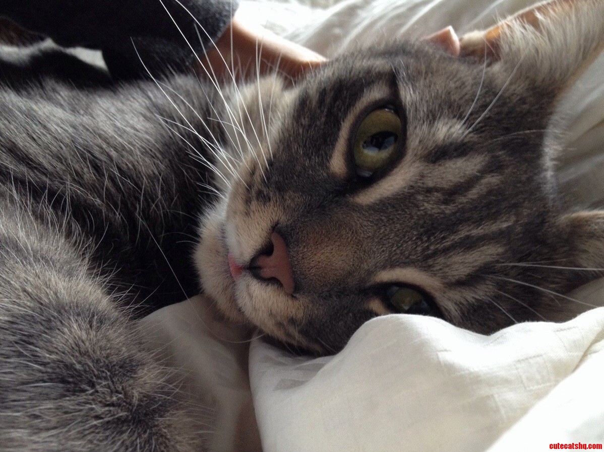 Woke Up and Was Greeted by This Intense Look