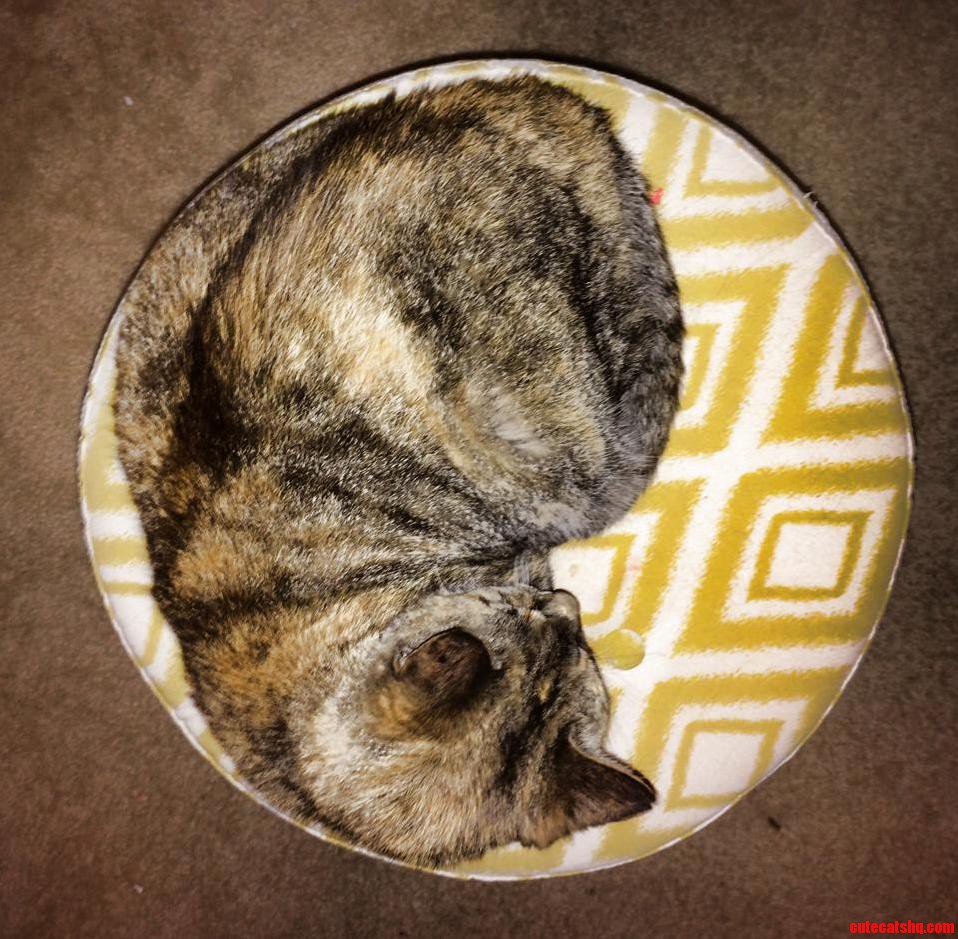 Yin Yang