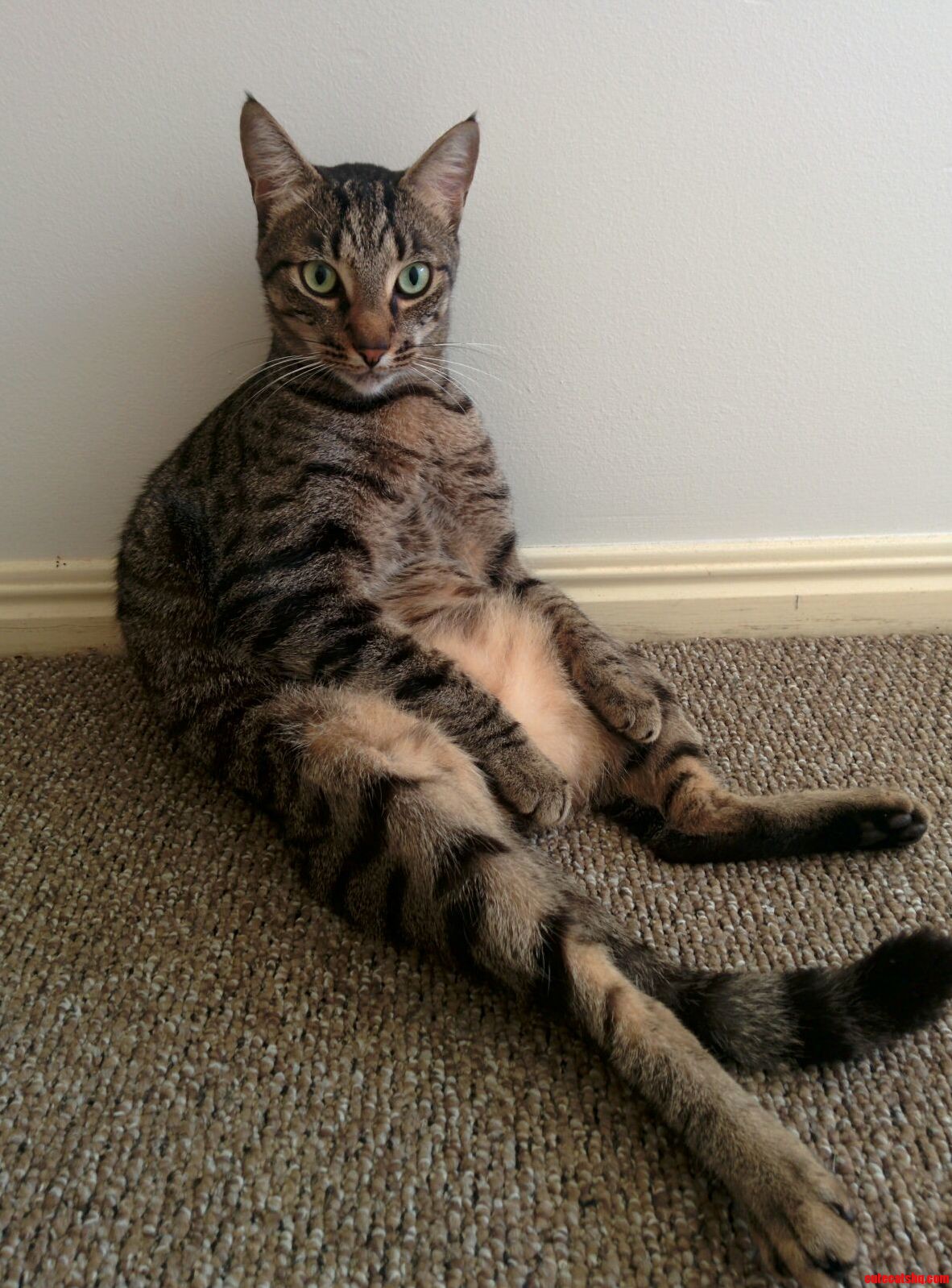 You Can Tell He Grew Up in a House Full of Blokes.