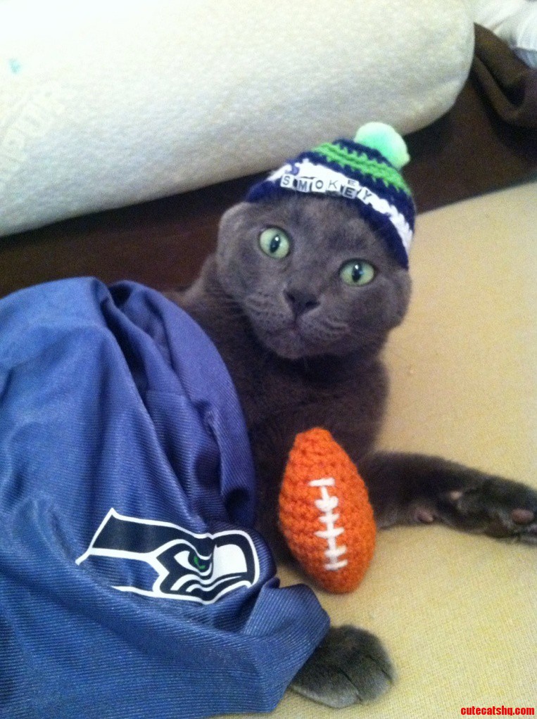 12th Kitty. Go Seahawks