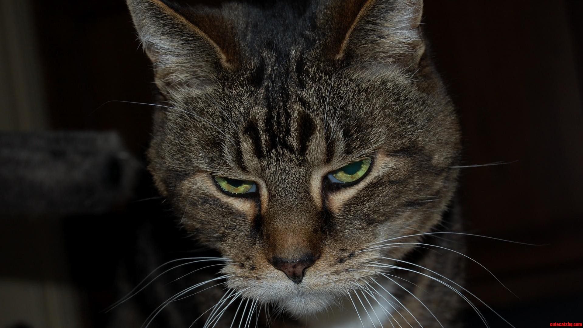 A Bit Grumpy