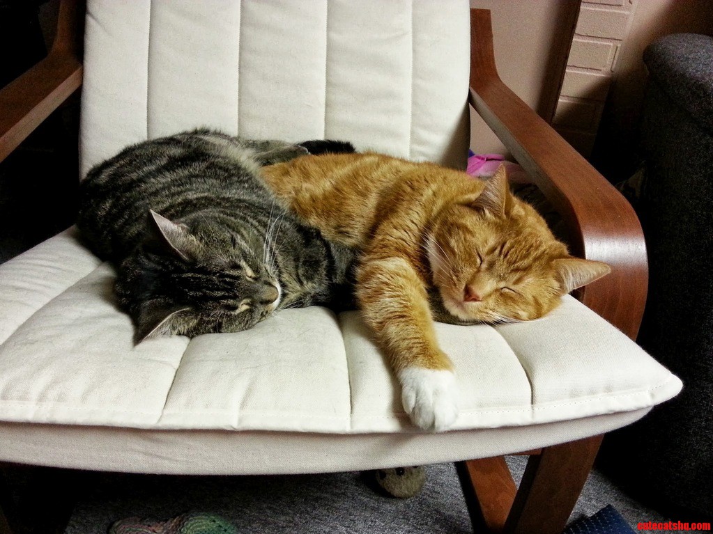 All That Wrestling Sure Makes One Tired.