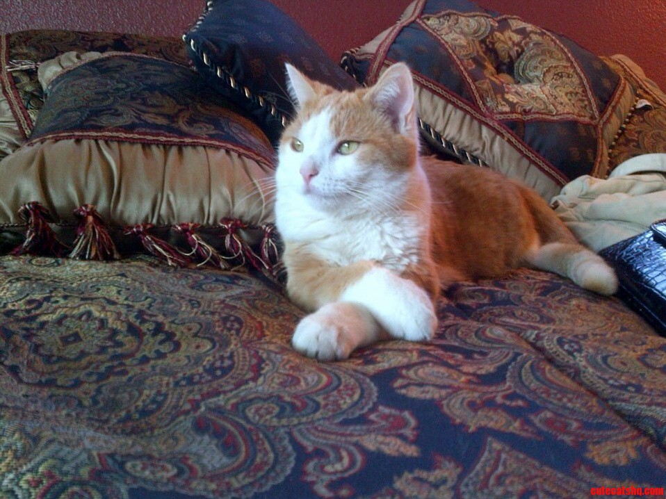 Another Photo of the Little Princess Bonnie Mae.