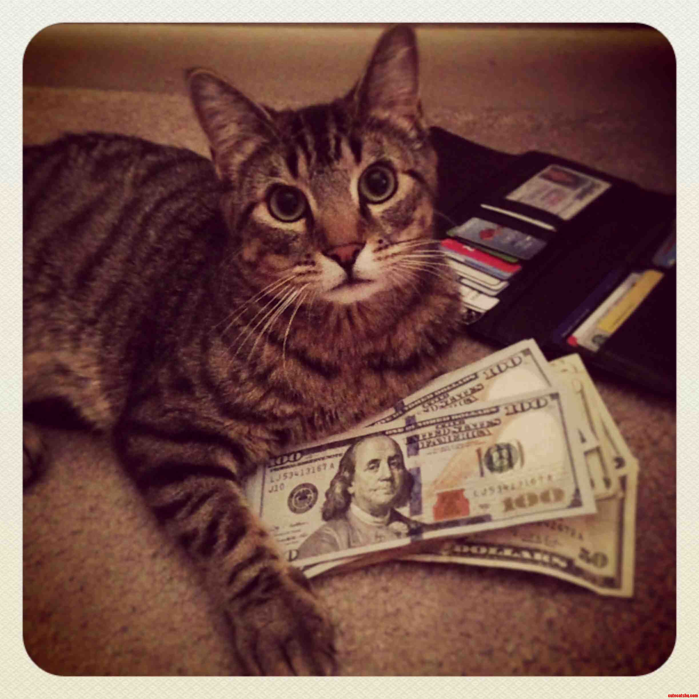 Ballin