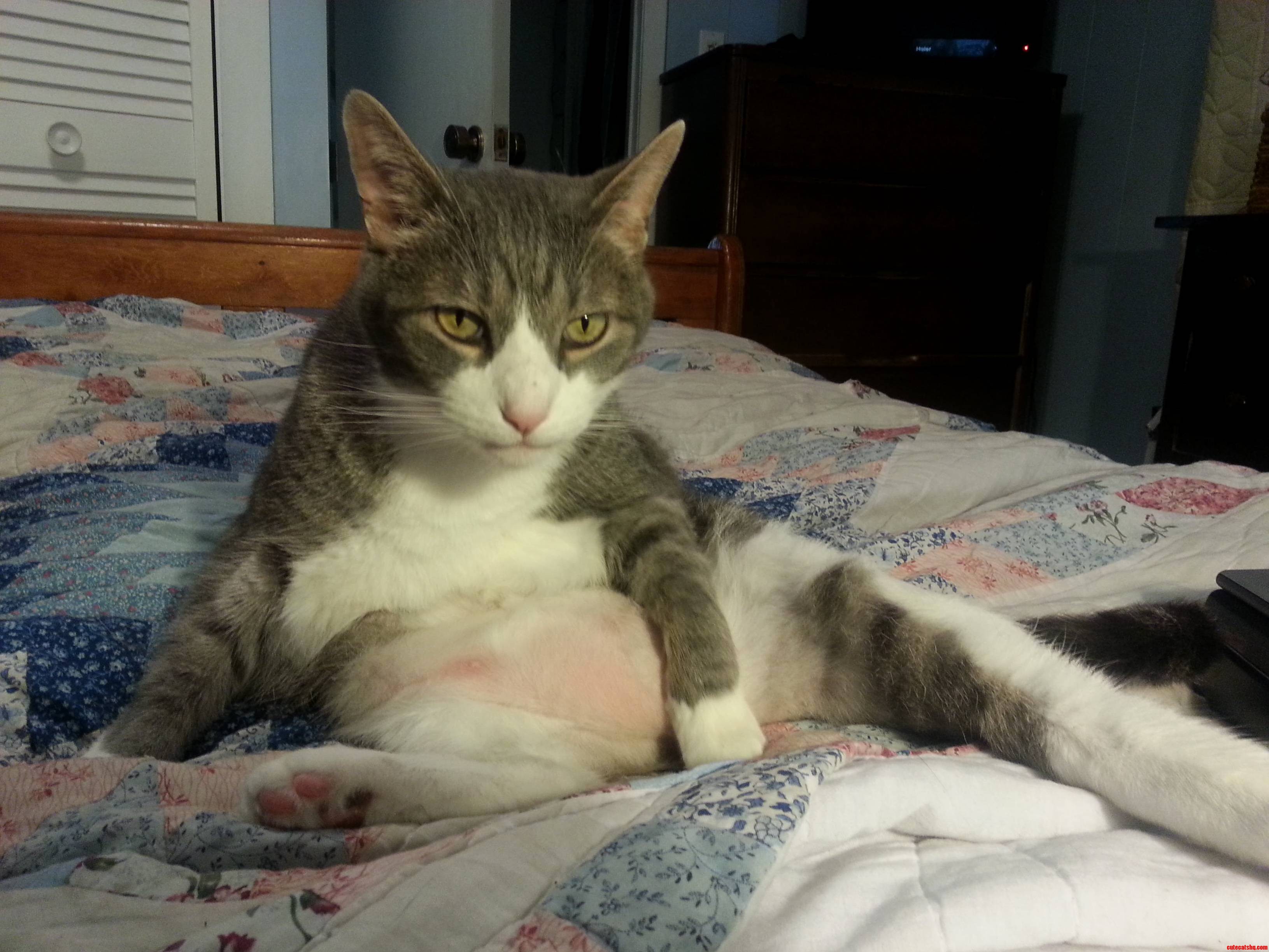 Biff Has Really Let Himself Go...