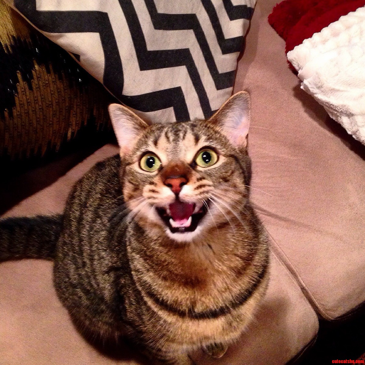 Big Smiles from Daisy Tgif
