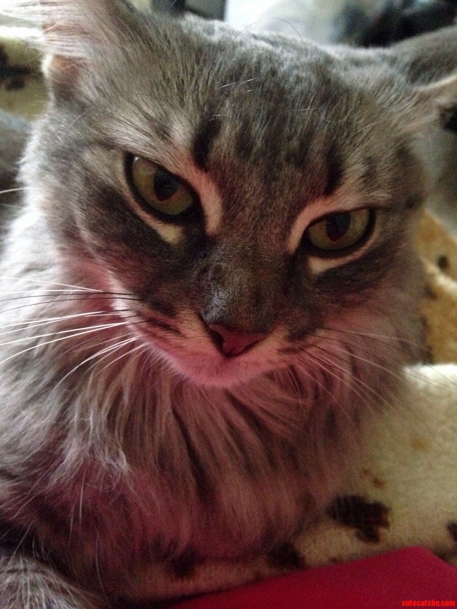 Blue Steel