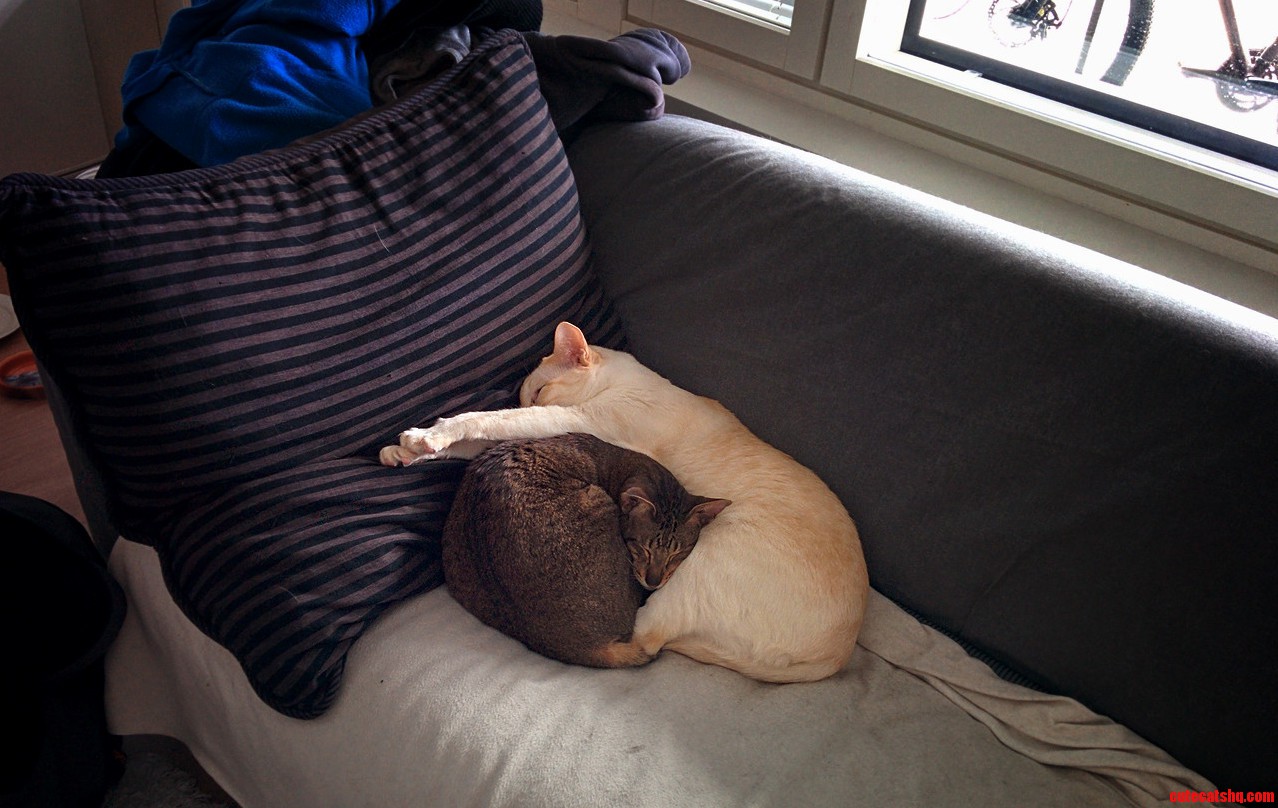 Can This Be Comfortable