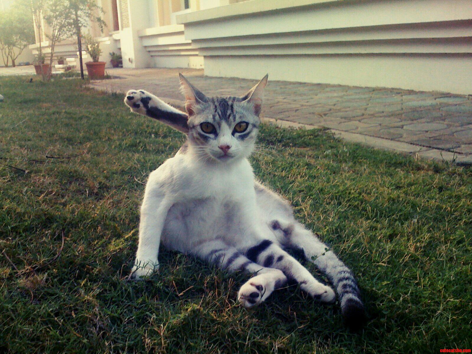 Caught in the Act.