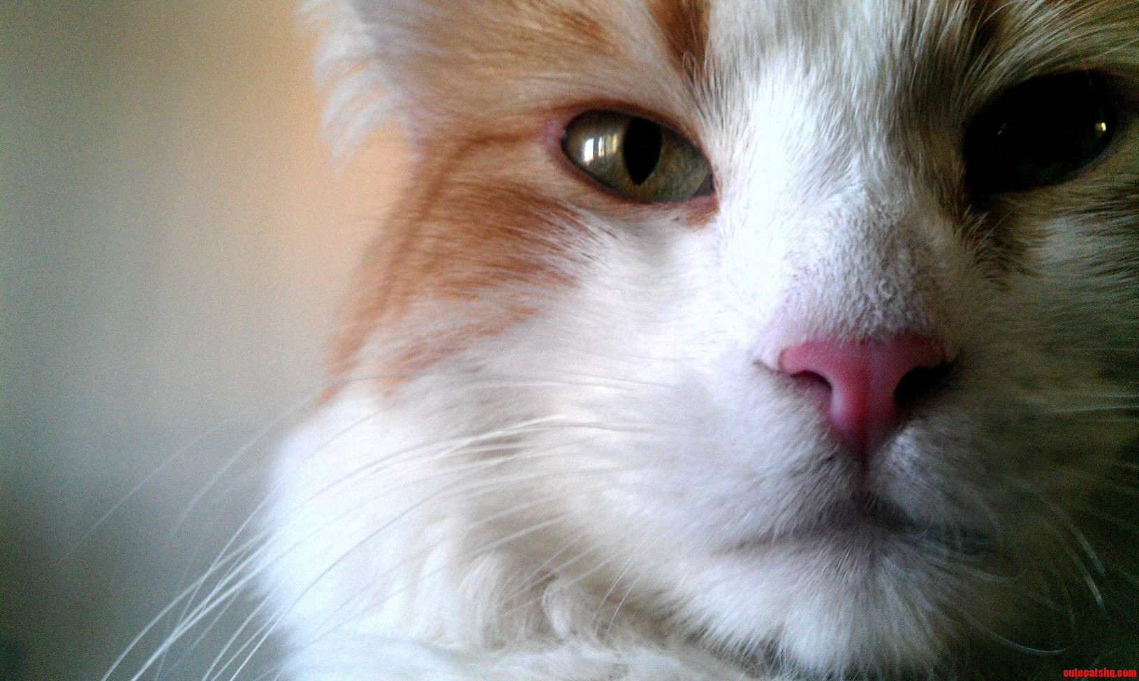 Close Up of My Handsome Boy Ivan