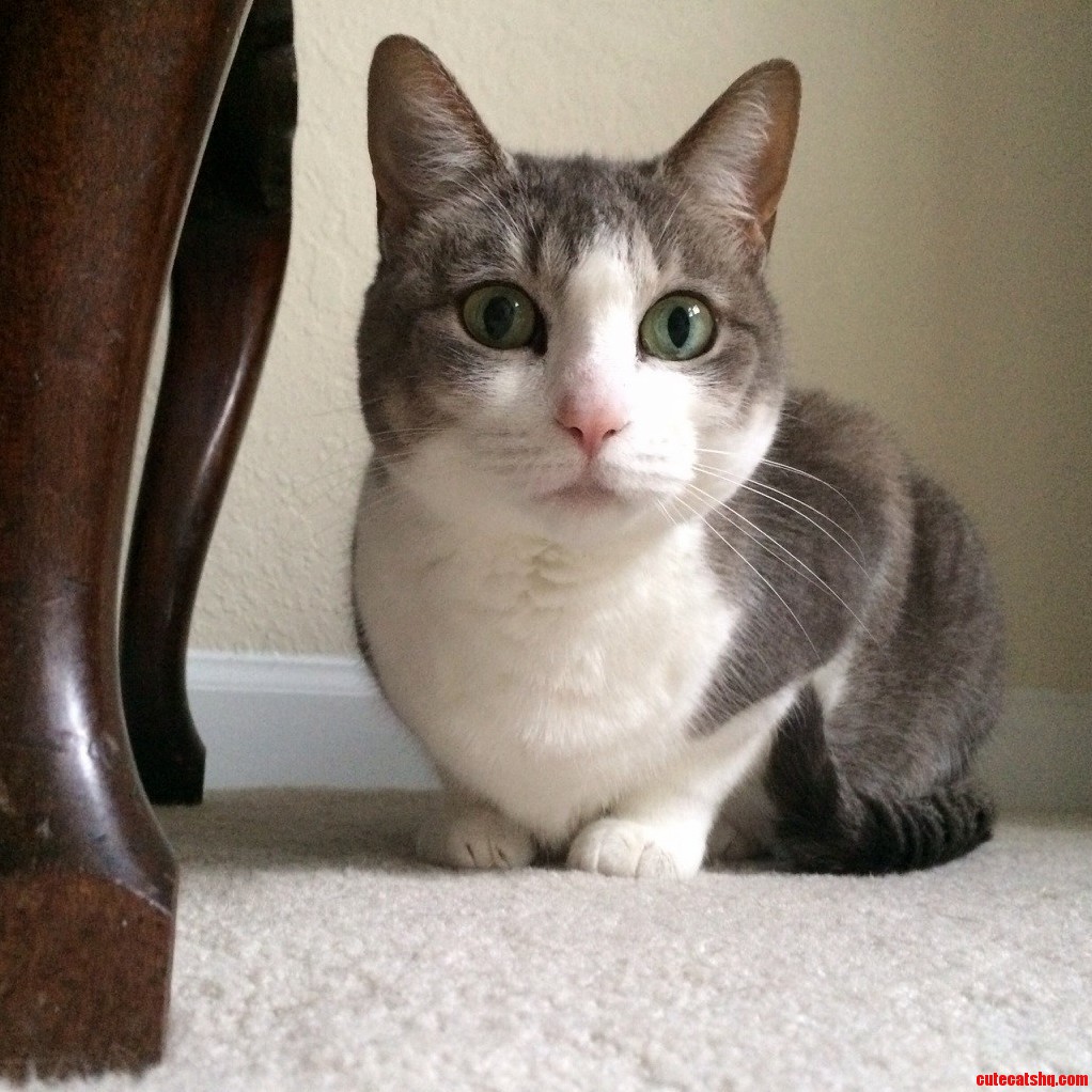 Dem Eyes