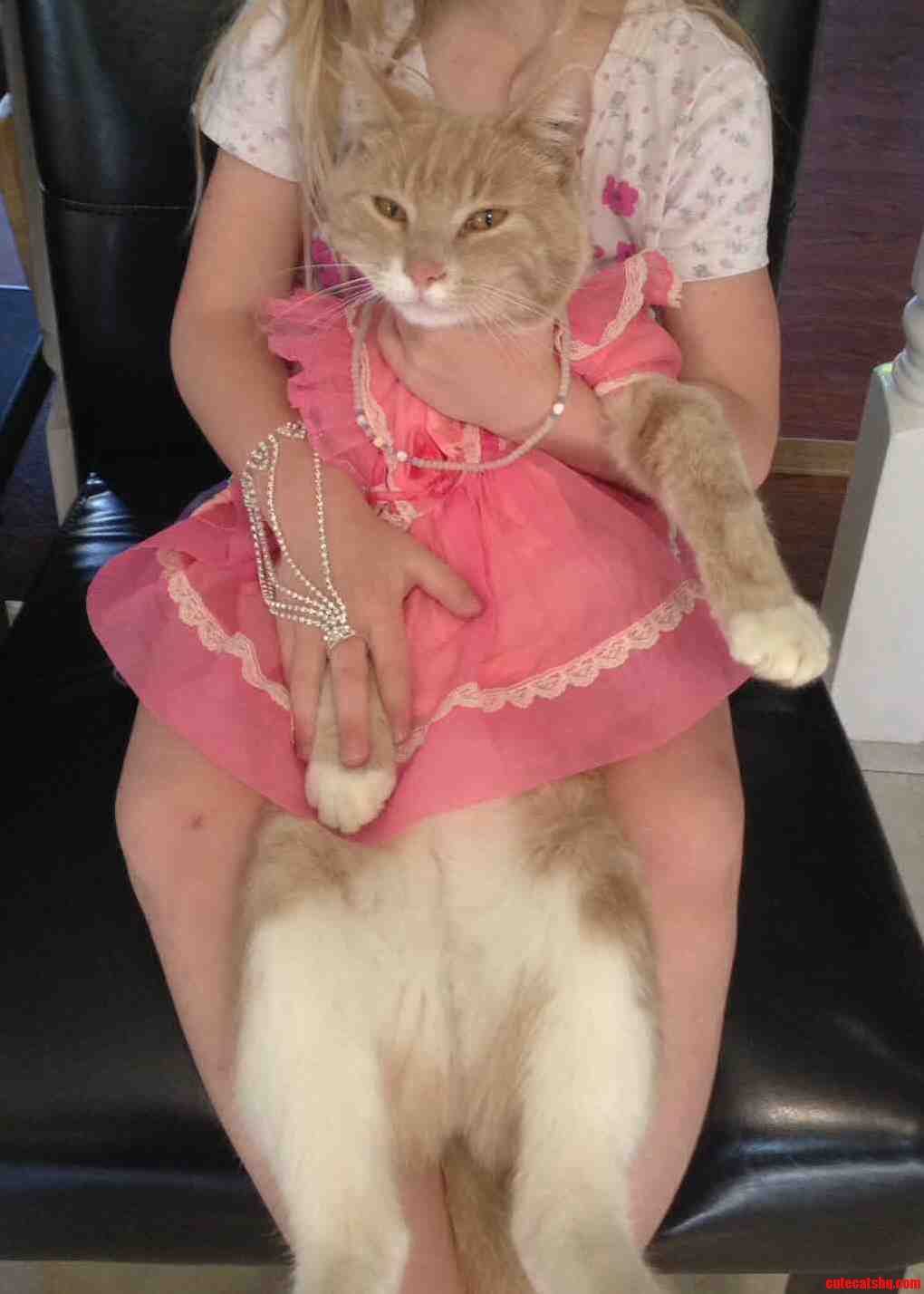 Dress Up Day...