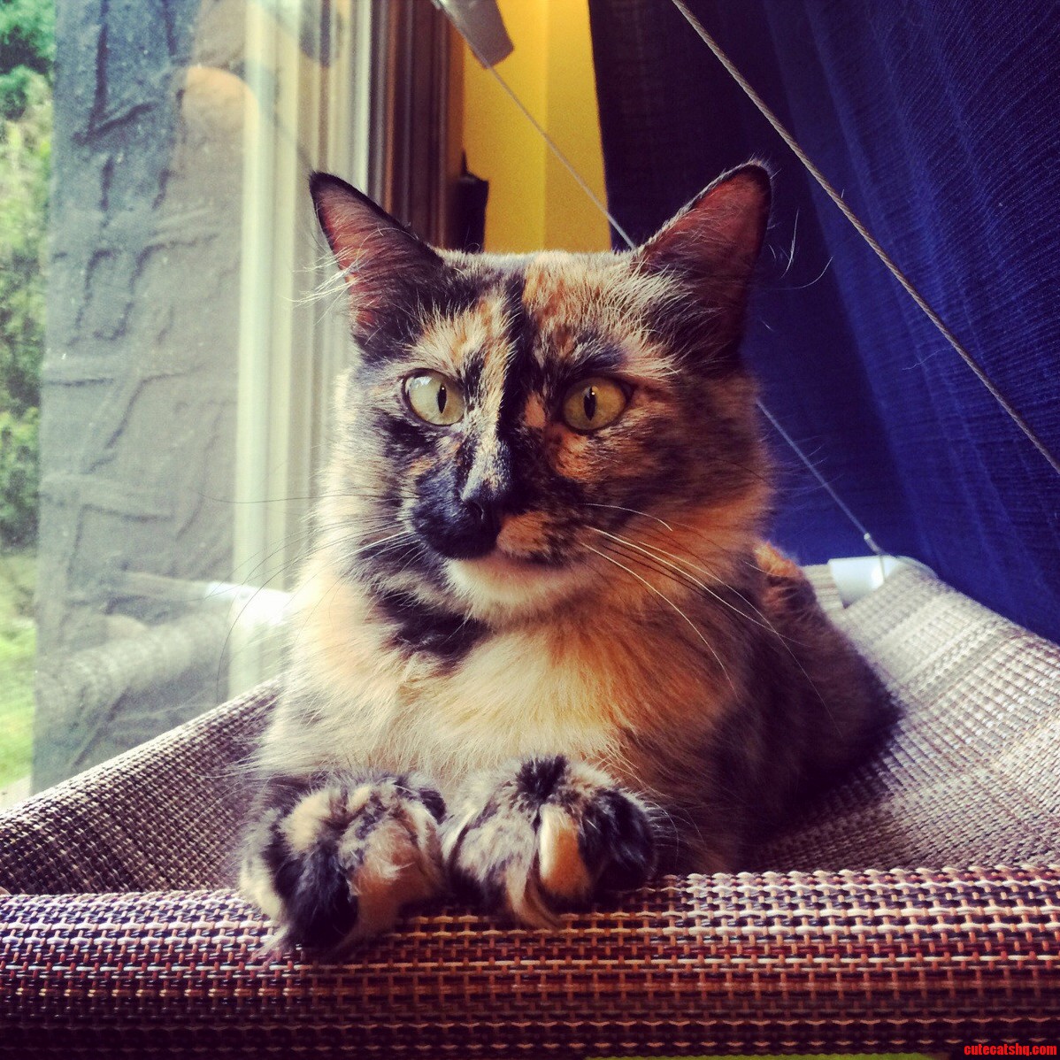 Enjoying Her Front Row Seat.