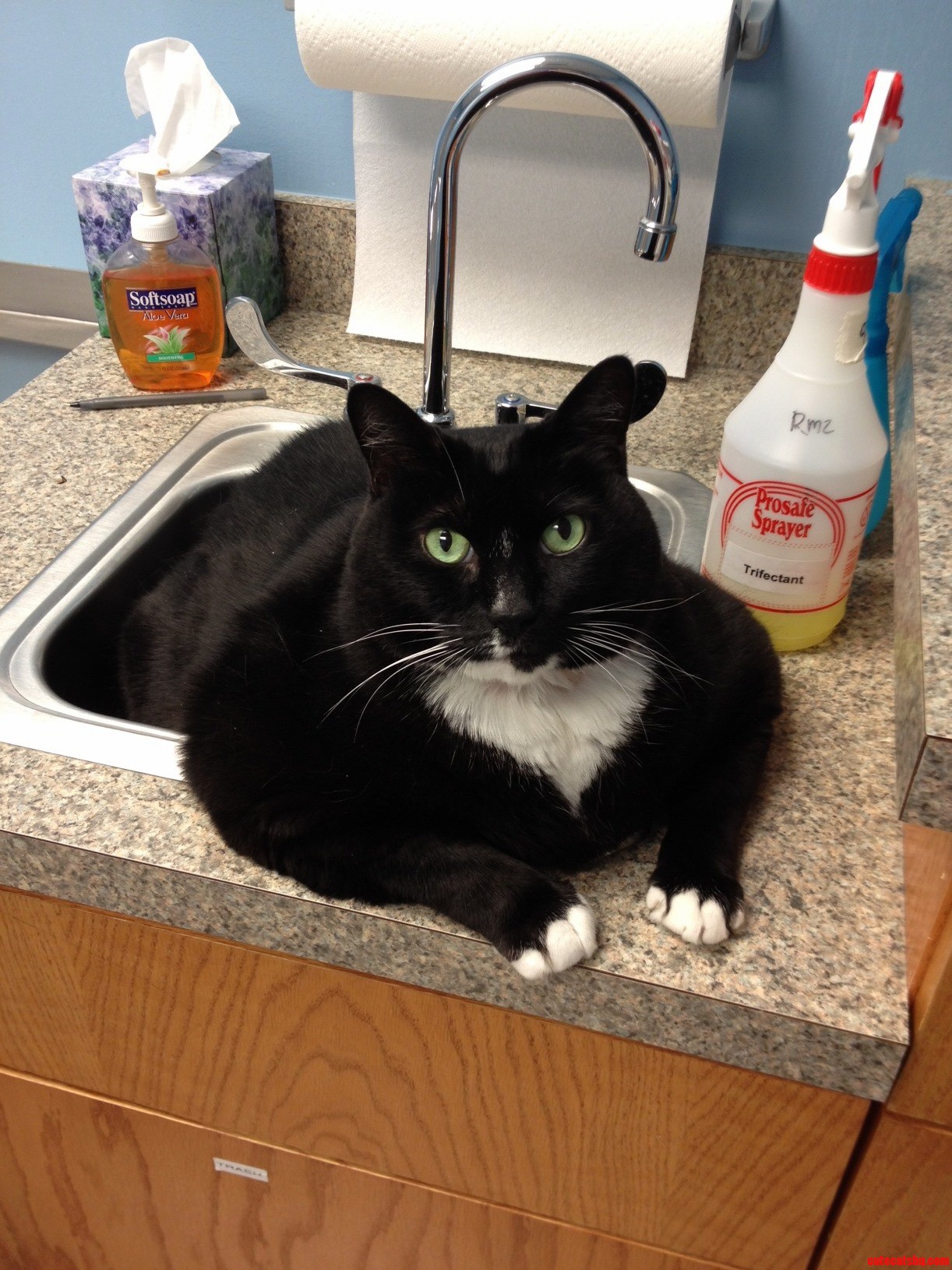 Filling the Sink