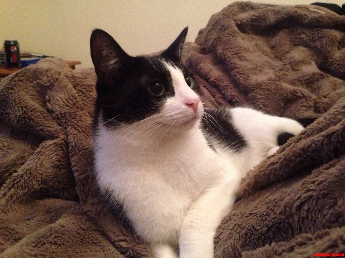 Frank Is Claiming His Spot for Winter