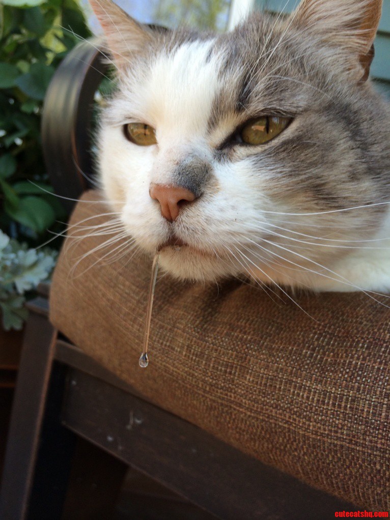 He Didnt Realize He Was Drooling for About 10 Minutes