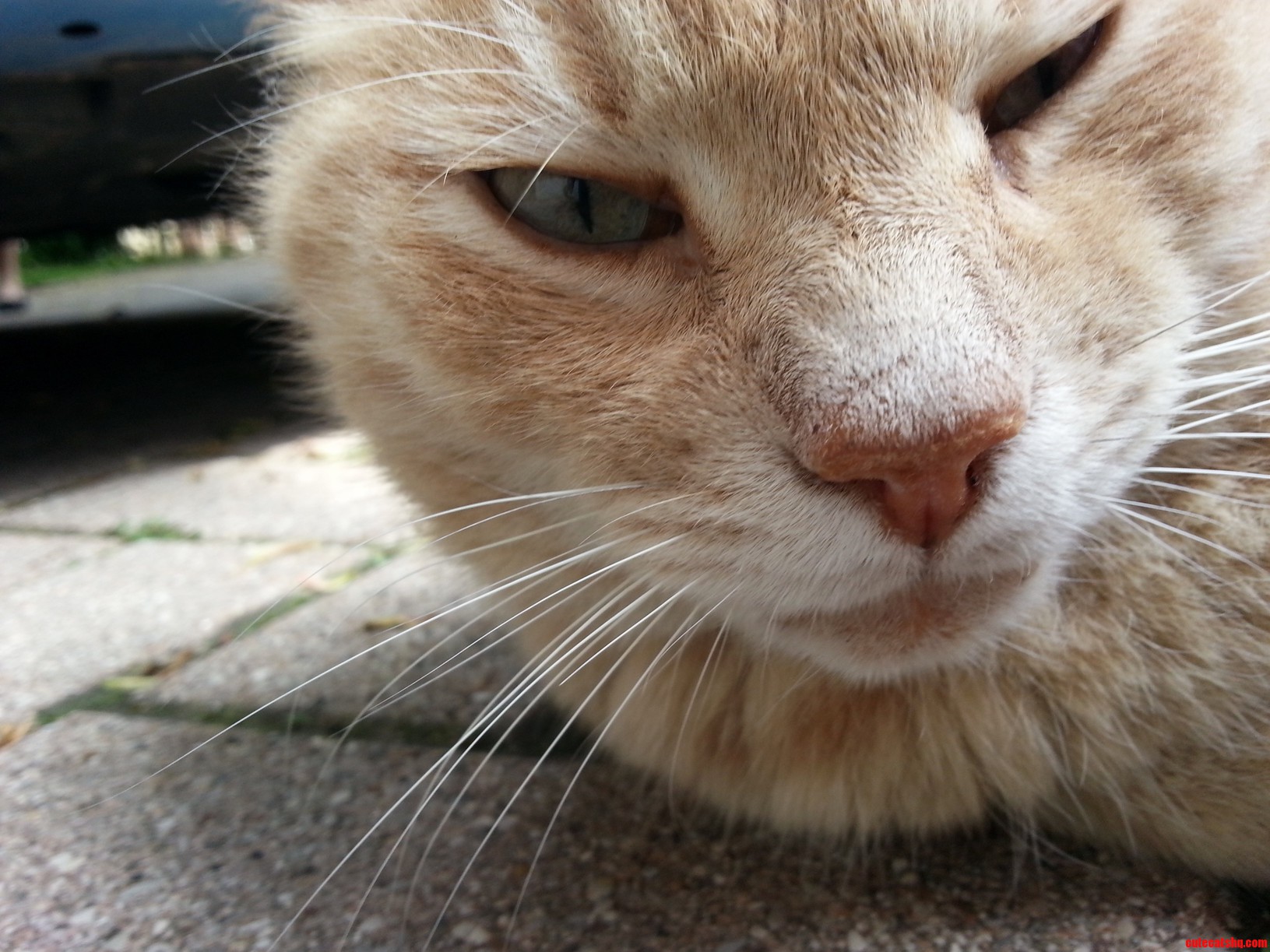 He Might Be Old but Hes Still Handsome