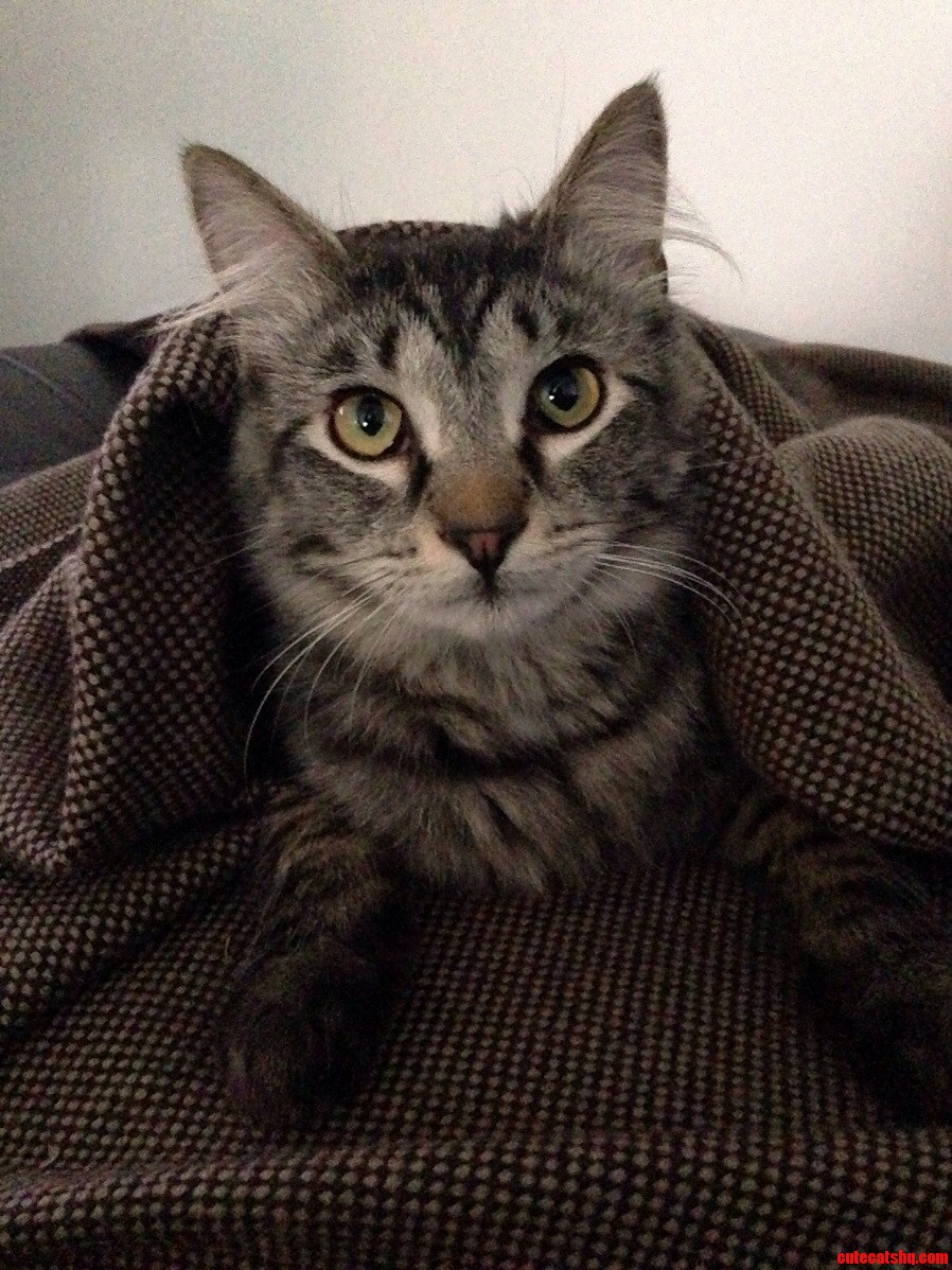 Hello Everybody. Im a Little Bundle of Love.