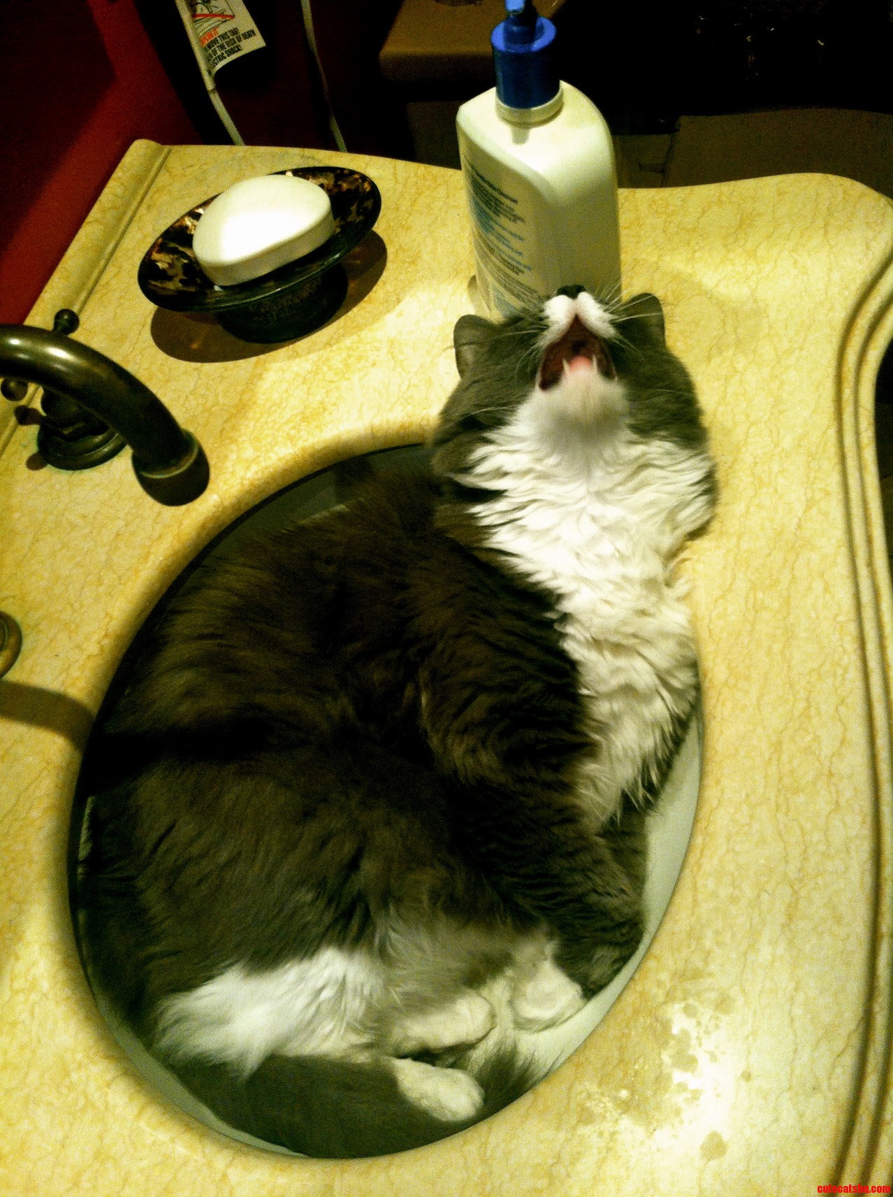 Help Im Sinking