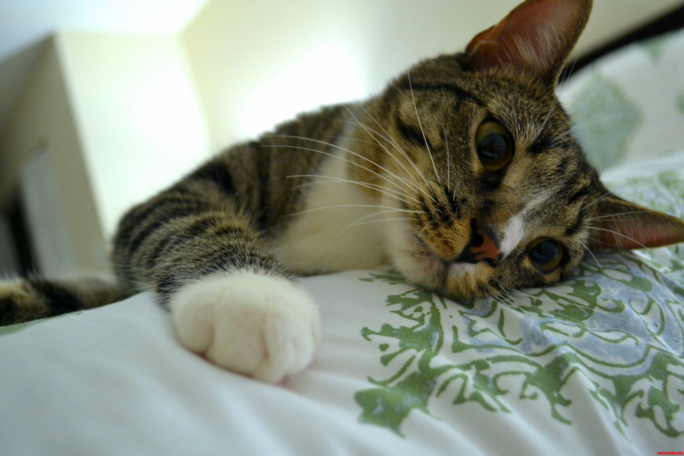 Hes Pretty Cute When He Settles Down..