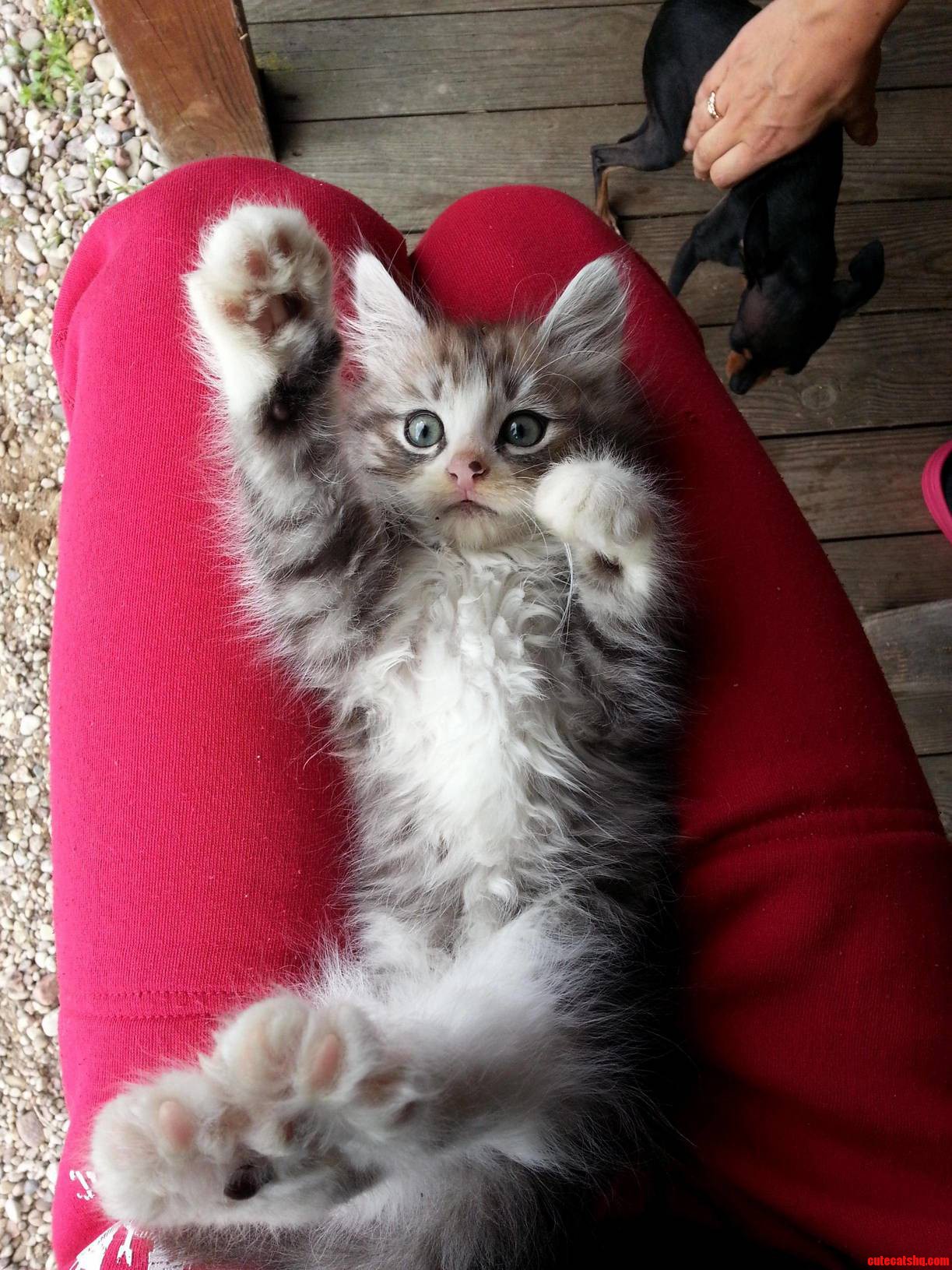 High Five