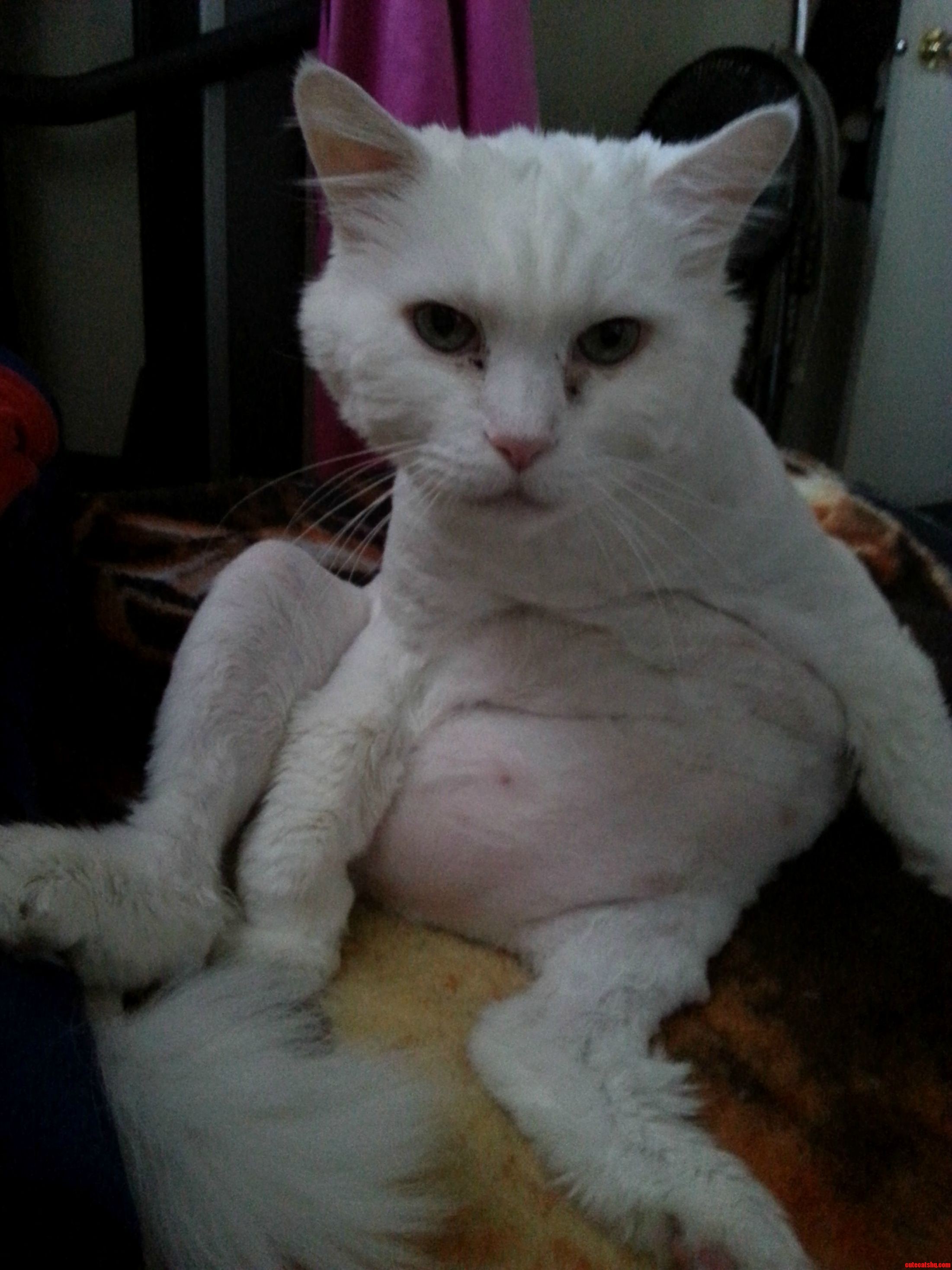 His Sexy Pose