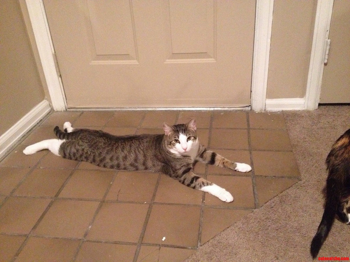 How Carl Keeps Cool on the Tile.