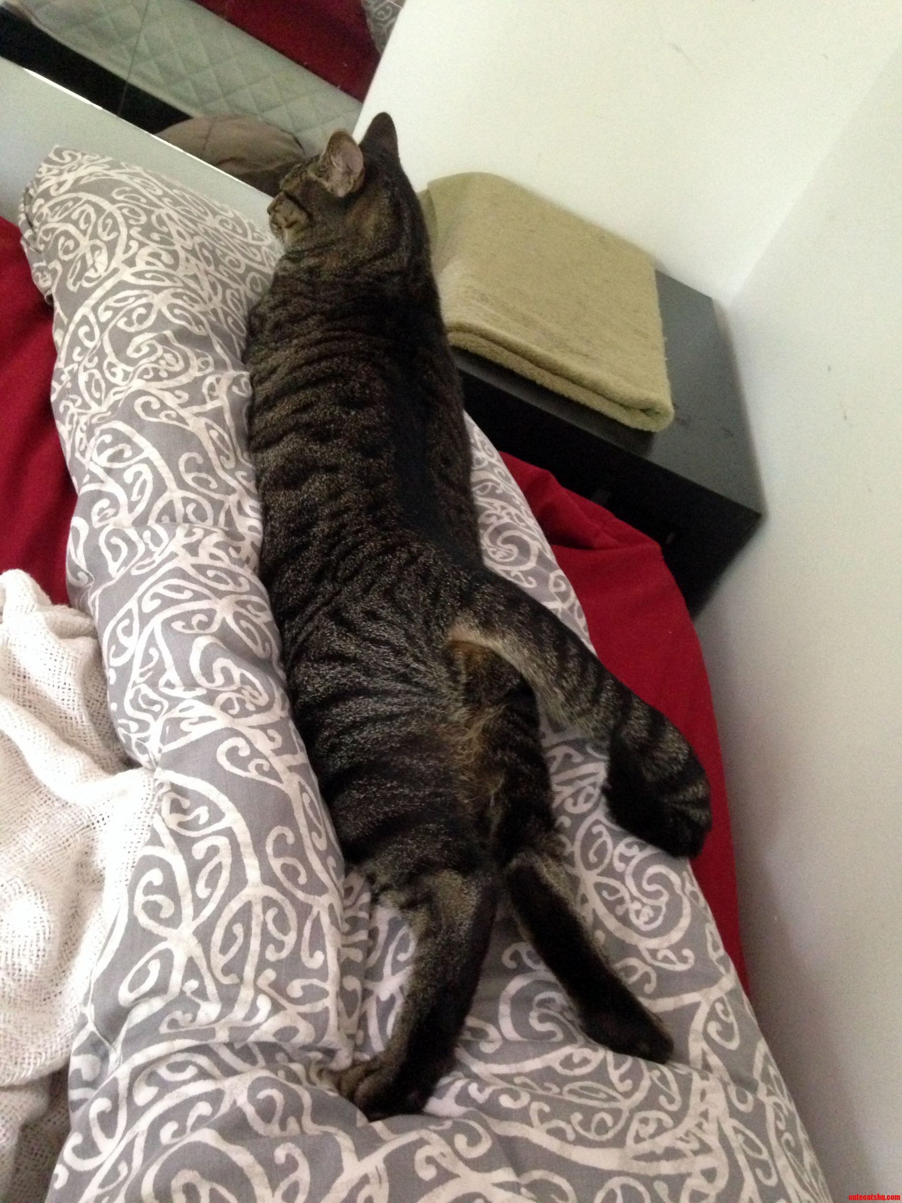 I Can Do Yoga Too.