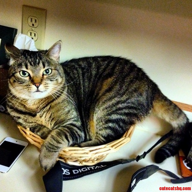 I Dont Really Fits but I Still Sits....