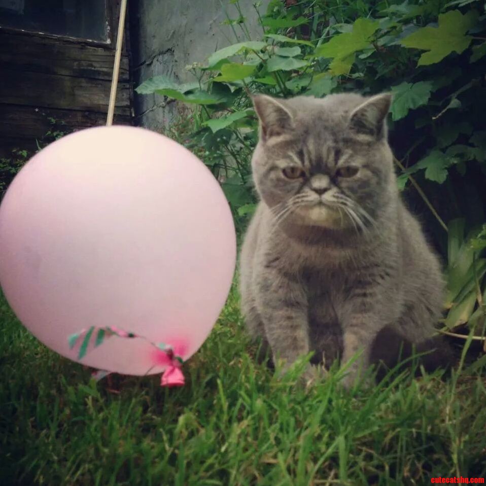 I Like Parties ..