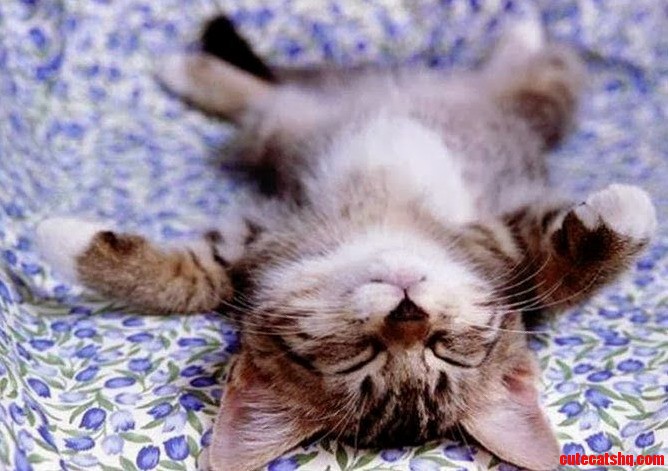 I Like to Sleep Like This