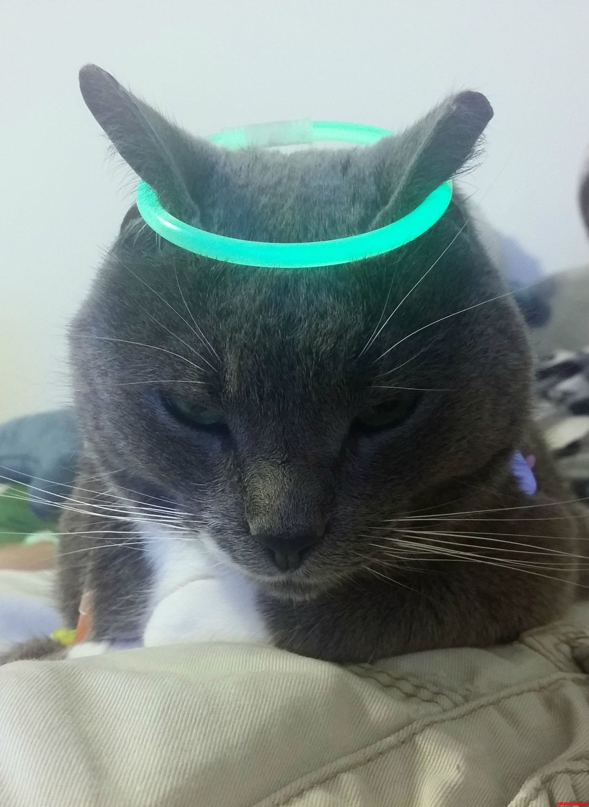 Im Going to Kill You in Your Sleep.